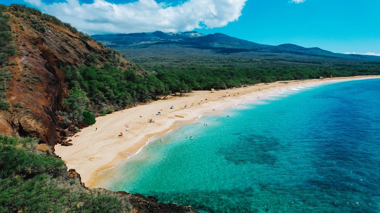 Aerial view of Maui beach