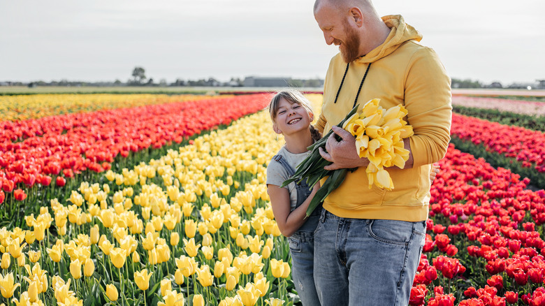 Father and child picking tulips on farm
