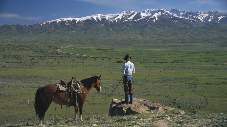 Horse rider overlooks Ruby Mountains