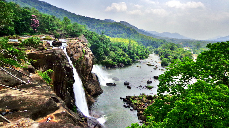 Athirappilly waterfall in jungle scenery