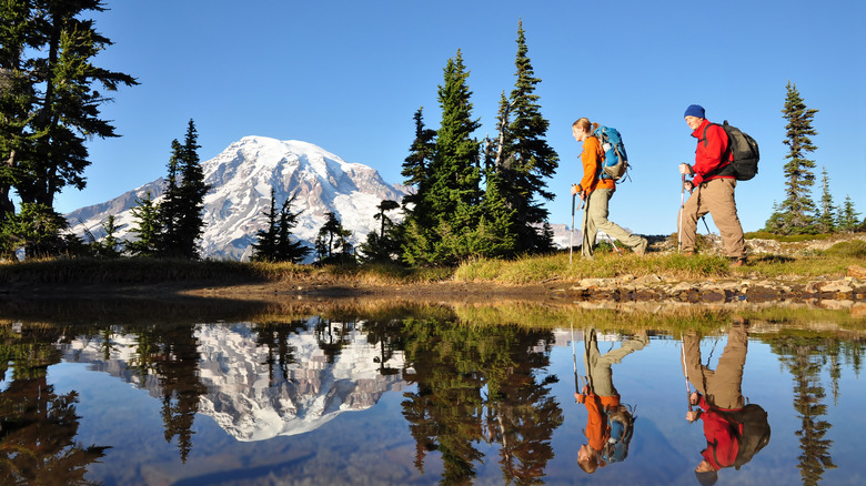 Hikers by Mount Rainier 