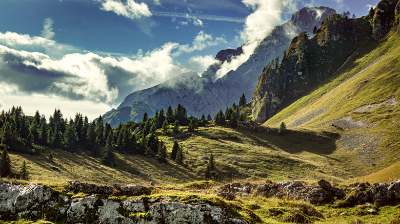 Green mountain landscape of Dolomiti Bellunesi 