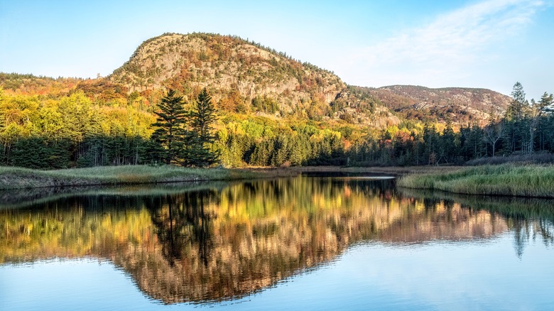 forested mountain reflecting in lake 