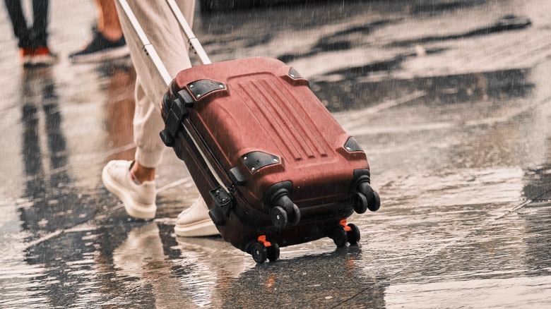 Luggage in the rain