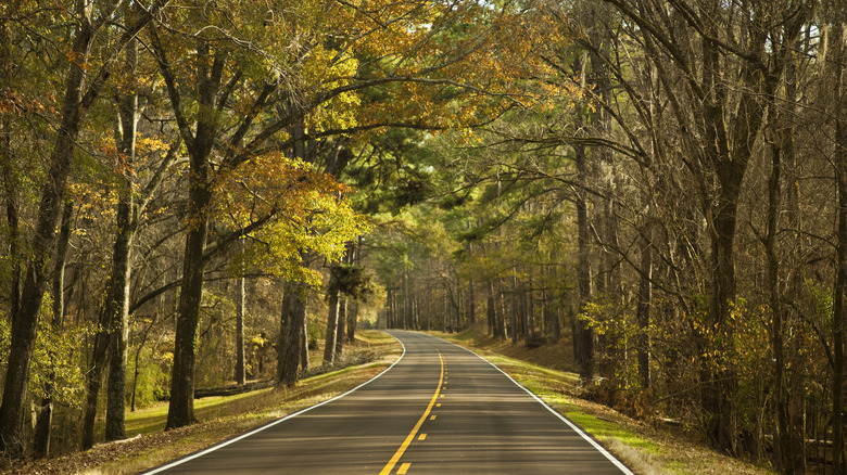 Natchez Trace Parkway in fall