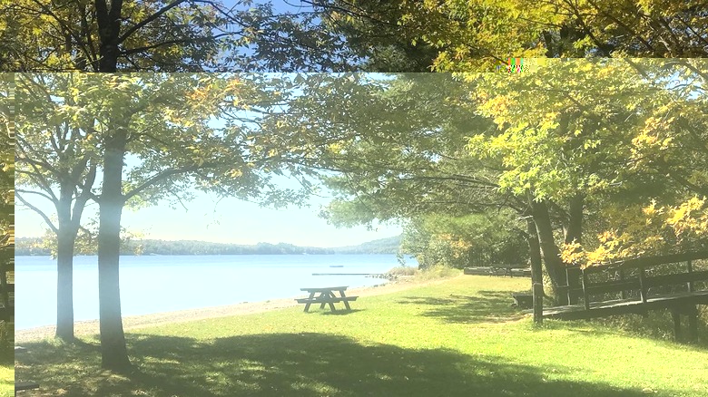 Lakeside picnic table under trees