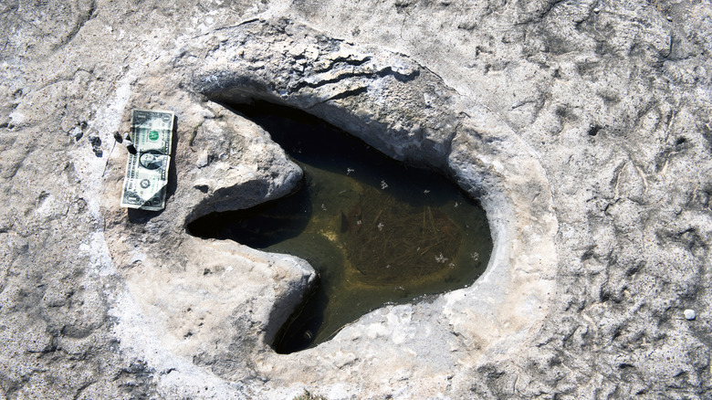 Dinosaur Valley State Park Footprint
